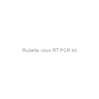 Rubella virus RT PCR kit